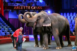 Répétitions Cirque Arlette Gruss 2018 - 20