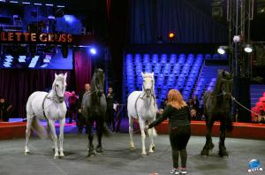 Répétitions Cirque Arlette Gruss 2018 - 26