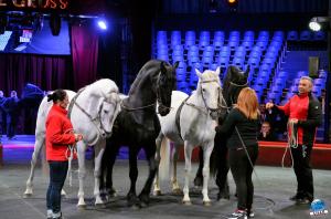 Répétitions Cirque Arlette Gruss 2018 - 28