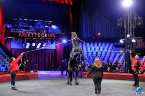 Répétitions Cirque Arlette Gruss 2018 - 29