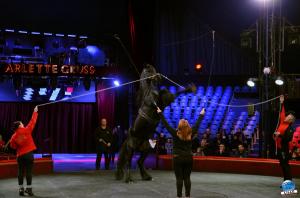 Répétitions Cirque Arlette Gruss 2018 - 30