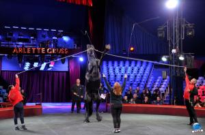 Répétitions Cirque Arlette Gruss 2018 - 31