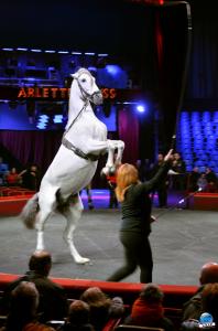 Répétitions Cirque Arlette Gruss 2018 - 32