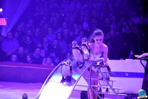 Cirque Arlette Gruss 2019 - 26