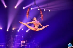 Cirque Arlette Gruss - Novembre 2019 - 10