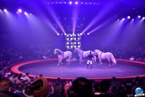 Cirque Arlette Gruss - Novembre 2019 - 13
