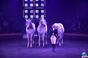 Cirque Arlette Gruss - Novembre 2019 - 15