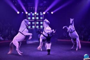 Cirque Arlette Gruss - Novembre 2019 - 16