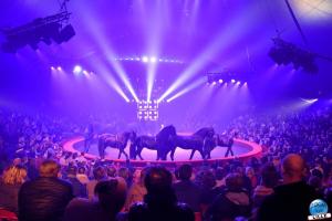 Cirque Arlette Gruss - Novembre 2019 - 17