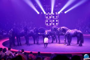 Cirque Arlette Gruss - Novembre 2019 - 18
