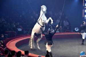 Cirque Arlette Gruss - Novembre 2019 - 21
