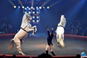 Cirque Arlette Gruss - Novembre 2019 - 22