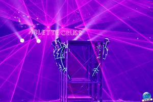 Cirque Arlette Gruss - Novembre 2019 - 25