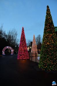 Cita Parc - Noël 2018 - 03
