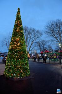 Cita Parc - Noël 2018 - 05