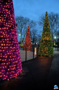 Cita Parc - Noël 2018 - 06