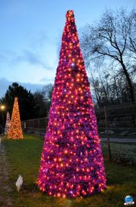 Cita Parc - Noël 2018 - 09