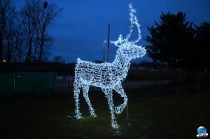 Cita Parc - Noël 2018 - 10