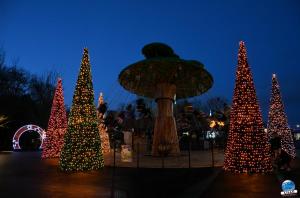 Cita Parc - Noël 2018 - 20
