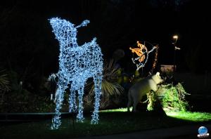 Cita Parc - Noël 2018 - 25