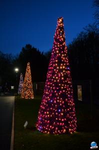Cita Parc - Noël 2018 - 30