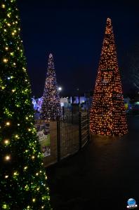 Cita Parc - Noël 2018 - 35