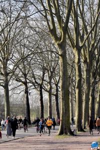 Parc de la Citadelle - Février 2021 - 07