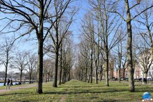 Parc de la Citadelle - Février 2021 - 20