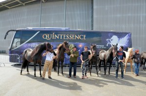 Coulisses Quintessence 06