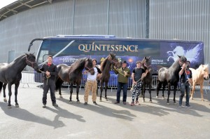 Coulisses Quintessence 08