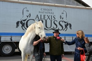 Coulisses Quintessence 16