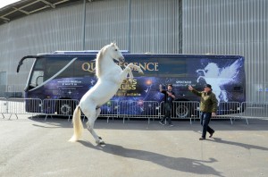 Coulisses Quintessence 19
