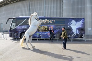 Coulisses Quintessence 20