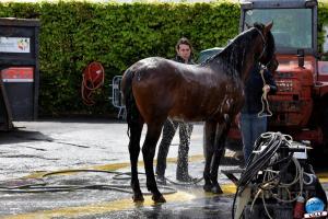 Coulisses Alexis Gruss 2019 - 25