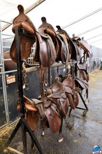 Coulisses Alexis Gruss 2019 - 26