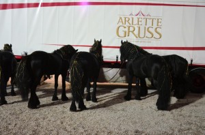 Coulisses Cirque Arlette Gruss 2017 44