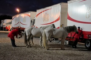 Coulisses Cirque Arlette Gruss 2017 46