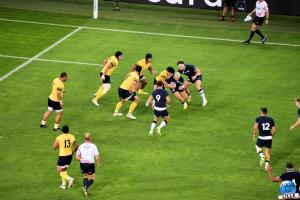 RWC 2023 - Match Écosse vs Roumanie - 47