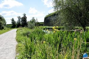 Parc de la Citadelle - 18