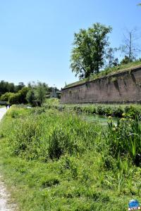 Parc de la Citadelle - 47