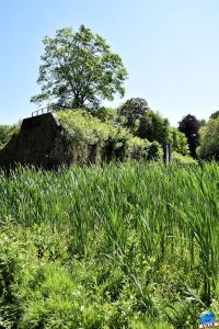 Parc de la Citadelle - 69