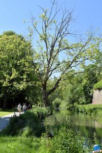 Parc de la Citadelle - 73
