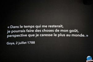Exposition Expérience Goya - 26