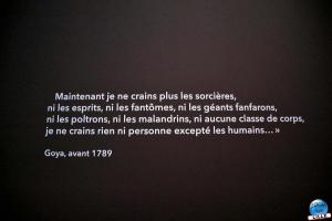 Exposition Expérience Goya - 37
