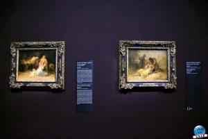 Exposition Expérience Goya - 50