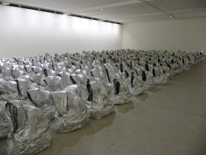 expo_36_20110113_1882431780