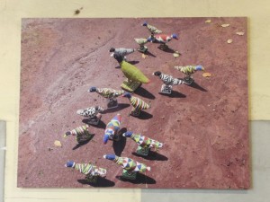 expo_31_20100405_1004937932 