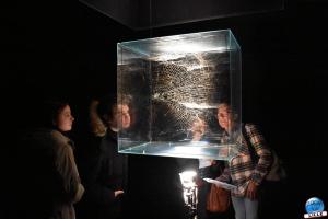 Exposition "Au bout des mes rêves" - 23