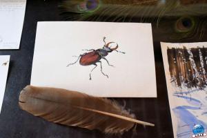 Exposition Couvent des Dominicains - 20