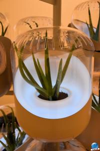 Exposition Designer(s) du Design - 44